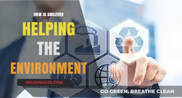 Unilever's Green Initiatives: Sustainable Practices for a Healthier Planet