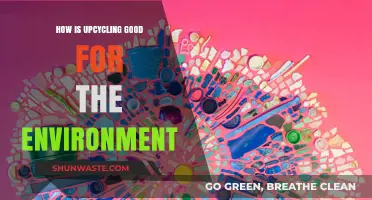 Upcycling's Eco-Impact: Reducing Waste, Conserving Resources, and Saving Our Planet