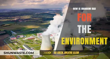 Uranium's Environmental Impact: Pollution, Radiation, and Ecological Destruction Explained