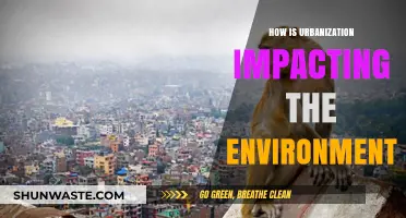 Urbanization's Environmental Impact: Challenges and Sustainable Solutions for Cities