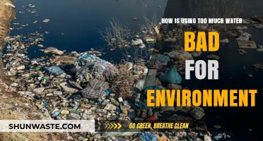 Excessive Water Use: Environmental Impacts and Sustainable Solutions