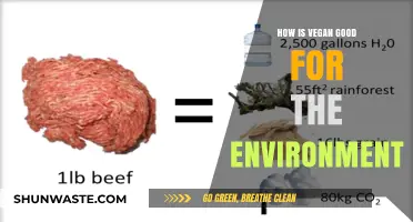 Veganism's Eco-Impact: How Plant-Based Diets Benefit Our Planet