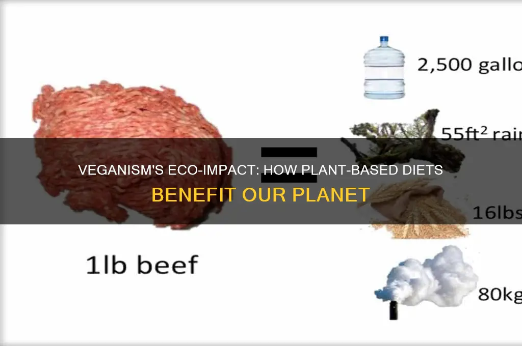 how is vegan good for the environment