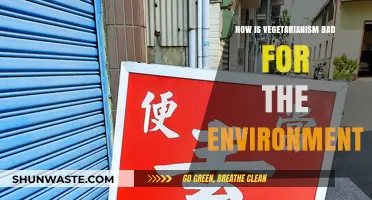 Vegetarianism's Environmental Impact: Uncovering Hidden Costs of Plant-Based Diets