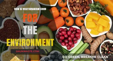 Vegetarianism's Eco-Impact: How Plant-Based Diets Benefit Our Planet