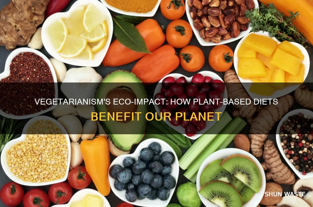 how is vegetarianism good for the environment