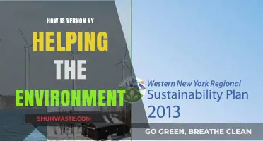 Vernon, NY's Green Initiatives: Transforming the Environment Sustainably