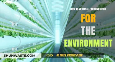 Vertical Farming: A Sustainable Solution for Greener, Healthier Ecosystems