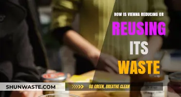 Vienna's Innovative Waste Reduction and Reuse Strategies for Sustainability