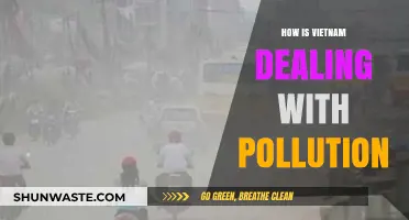 Vietnam's War on Pollution: Strategies and Challenges