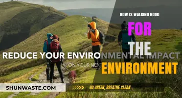 Walking's Eco-Impact: Sustainable Steps for a Greener, Healthier Planet
