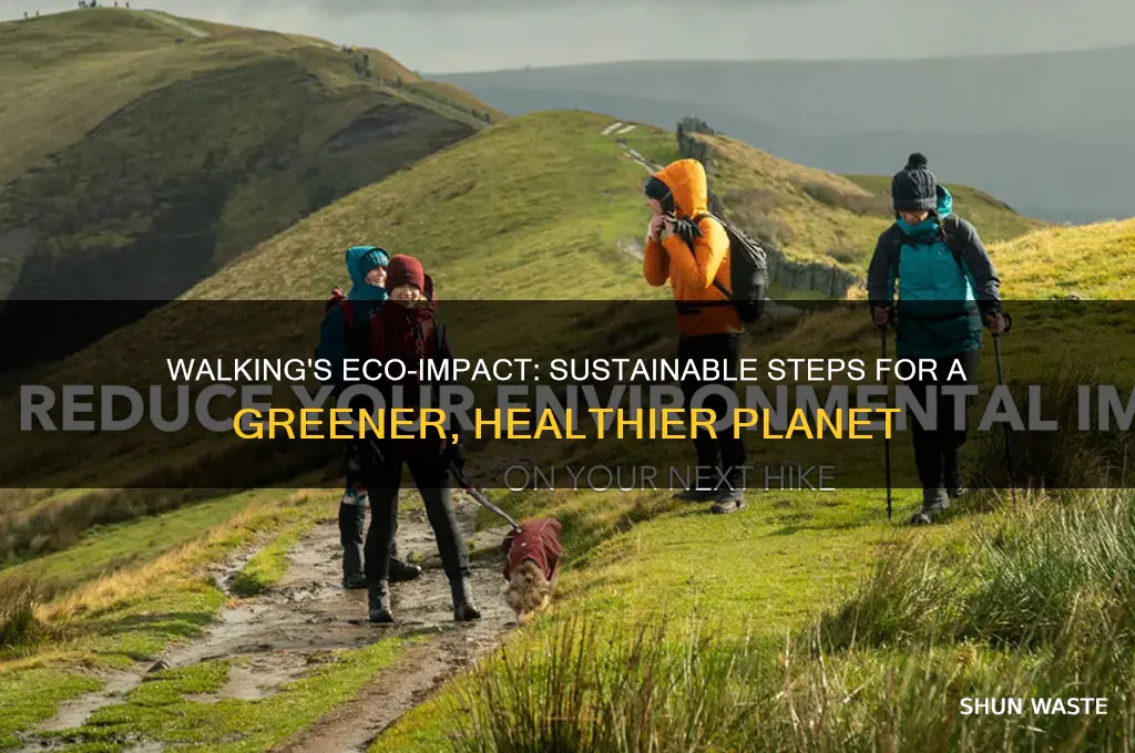 how is walking good for the environment
