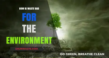 Waste's Devastating Impact: How Trash Harms Our Environment and Planet