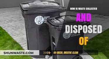 Efficient Waste Collection and Disposal Methods Explained Simply