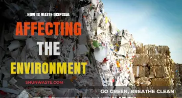 Waste Disposal's Environmental Impact: Pollution, Climate Change, and Ecosystem Destruction