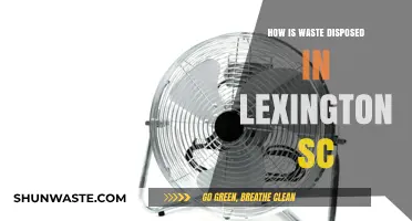 Lexington SC Waste Disposal: Methods, Facilities, and Environmental Impact