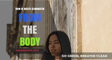 Understanding the Body's Waste Elimination Process: A Comprehensive Guide