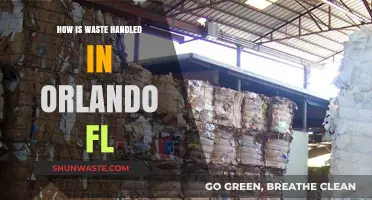 Orlando's Waste Management: Sustainable Practices and Recycling Initiatives Explained