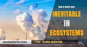 Waste Heat's Role: An Inevitable Byproduct in Ecosystem Functionality