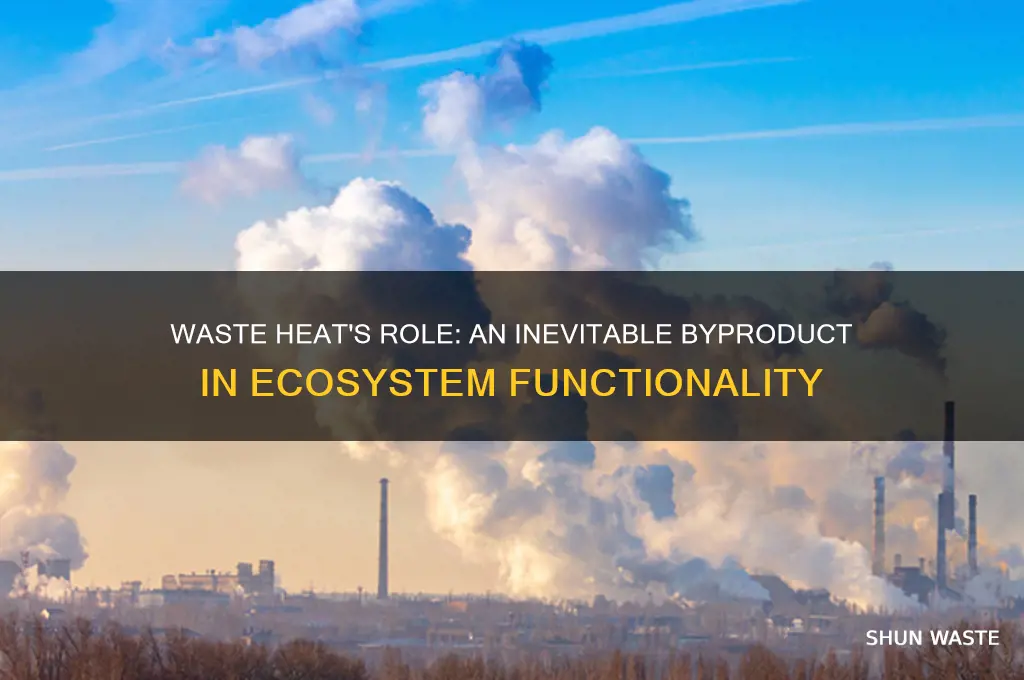 how is waste heat inevitable in ecosystems
