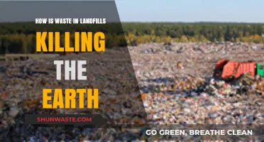 Landfill Waste Crisis: How Trash is Destroying Our Planet's Health
