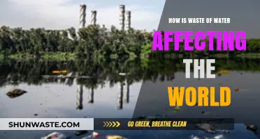 Water Waste Crisis: Global Impacts and Urgent Solutions Needed
