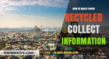 Recycling Waste Paper: A Comprehensive Guide to Collection and Processing