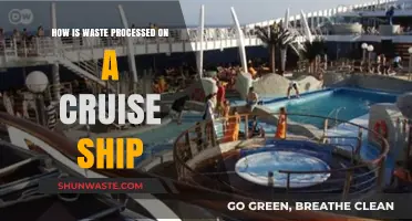 Cruise Ship Waste Management: Behind the Scenes of Ocean Recycling