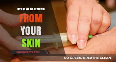 Effective Skin Waste Removal: Understanding Your Body's Natural Detox Process