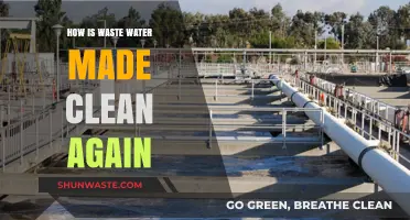 From Dirty to Pure: The Journey of Wastewater Treatment Explained