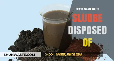 Effective Methods for Wastewater Sludge Disposal and Environmental Impact