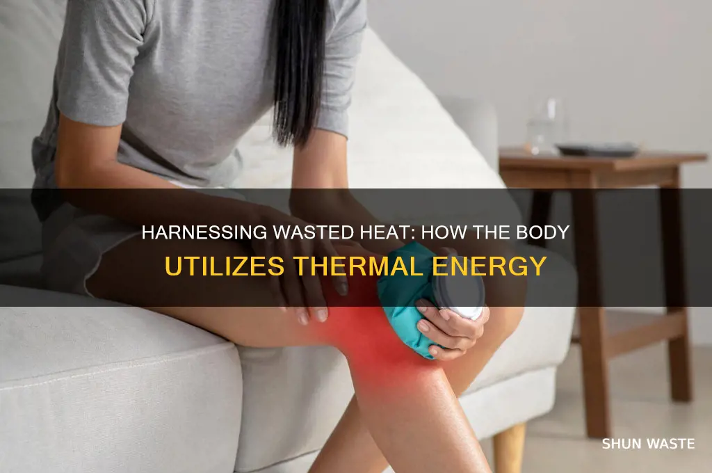 how is wasted heat energy used in the body