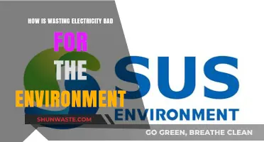 Wasting Electricity: Environmental Impact and Sustainable Energy Solutions