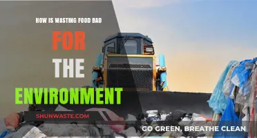 Food Waste's Environmental Impact: A Hidden Crisis We Must Address