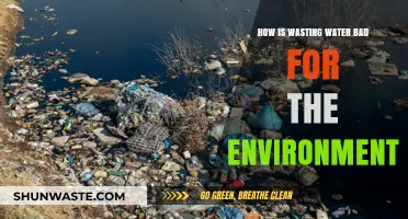 Wasting Water: Environmental Impacts and the Urgent Need for Conservation