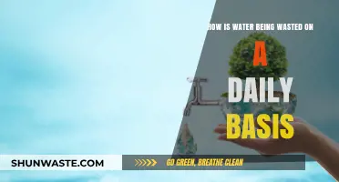 Daily Water Waste: Unseen Habits Draining Our Precious Resource