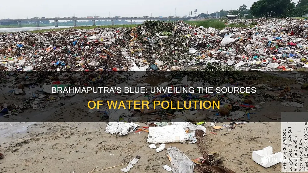 how is water of brahmaputra getting polluted