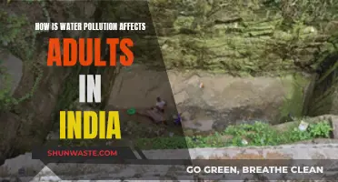 Water Pollution: A Health Crisis for Indian Adults