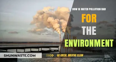 Water Pollution's Devastating Impact: Harming Ecosystems and Threatening Our Planet