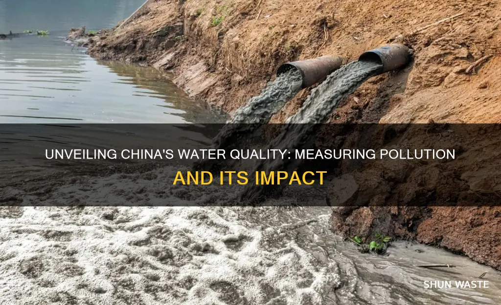 how is water pollution measured in china