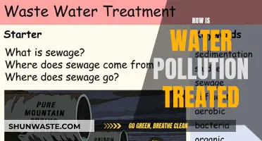 Water Pollution Solutions: Effective Treatment Methods Explained