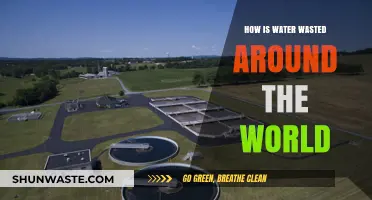 Global Water Waste: Shocking Ways We Squander This Precious Resource