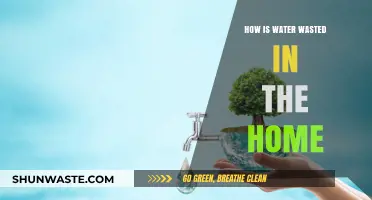 Preventing Household Water Waste: Simple Ways to Save Every Drop