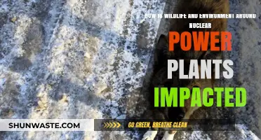 Nuclear Power Plants: Unveiling Wildlife and Environmental Impact Dynamics