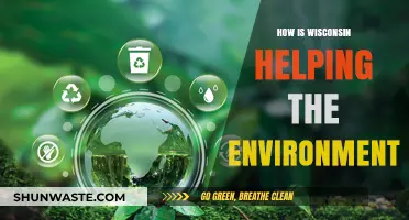 Wisconsin's Green Initiatives: Leading Environmental Conservation and Sustainability Efforts