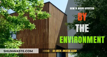 Environmental Impact: How Climate and Conditions Shape Wood's Durability and Strength