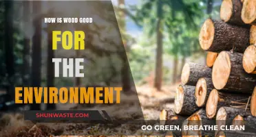 Wood's Eco-Friendly Impact: Sustainable Benefits for a Greener Planet