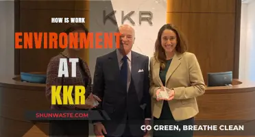 Inside KKR: Exploring the Culture and Work Environment at KKR