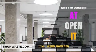 Exploring the Collaborative and Innovative Work Environment at Open IT