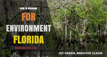 Working for Environment Florida: Impact, Initiatives, and Inspiring Change